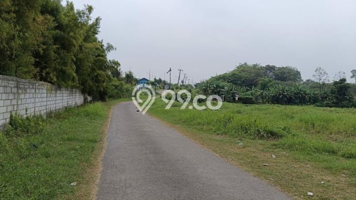 Tanah Dijual Lokasi Karawang Timur, Karawang dengan Luas Tanah 60000m2 dan Status SHM Tanah Dijual Lokasi Karawang Timur, Karawang dengan Luas Tanah 60000m2 dan Status SHM