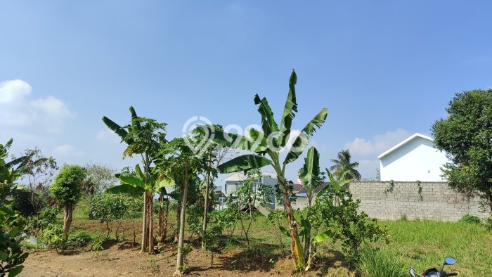 Tanah Dijual di Malang Seluas 171m2 Strategis Tanah Dijual di Malang Seluas 171m2 Strategis