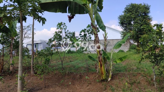 Untuk Dijual Tanah 171m2 di Merjosari, Malang Untuk Dijual Tanah 171m2 di Merjosari, Malang