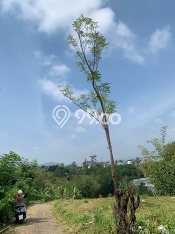 Tanah Dijual Area Strategis di Malang Kota Malang 75m2 Tanah Dijual Area Strategis di Malang Kota Malang 75m2