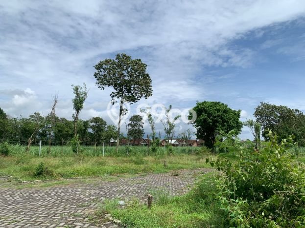 Tanah Kavling Dijual di Malang Kota, Malang dengan Luas Tanah 70m2 Tanah Kavling Dijual di Malang Kota, Malang dengan Luas Tanah 70m2