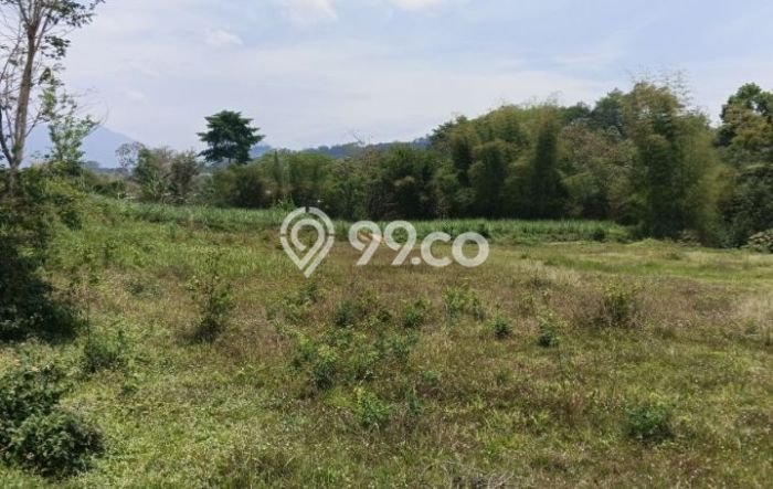 Tanah Kavling Dijual di Malang dengan Spesifikasi 66m2 Tanah Kavling Dijual di Malang dengan Spesifikasi 66m2