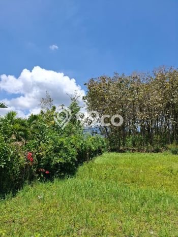 Tanah Dijual di Malang Seluas 69m2 Strategis Tanah Dijual di Malang Seluas 69m2 Strategis