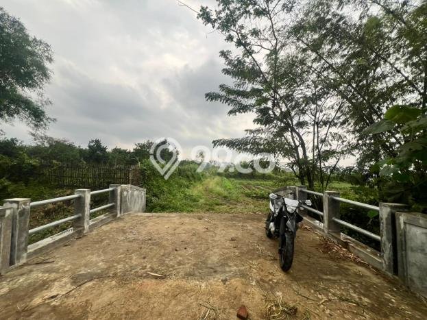 Tanah Investasi Dijual di Malang Punya Luas 65m2 Tanah Investasi Dijual di Malang Punya Luas 65m2