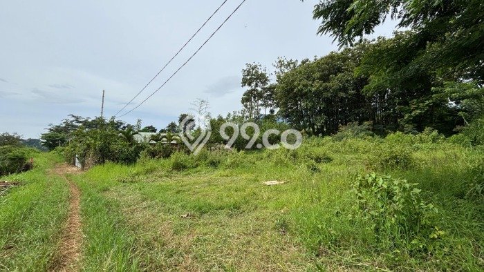 Tanah Investasi Dijual di Malang Punya Luas 78m2 Tanah Investasi Dijual di Malang Punya Luas 78m2