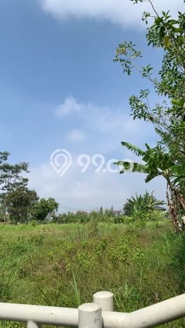 Tanah Kavling Dijual di Malang Kota, Malang dengan Luas Tanah 200m2 Tanah Kavling Dijual di Malang Kota, Malang dengan Luas Tanah 200m2