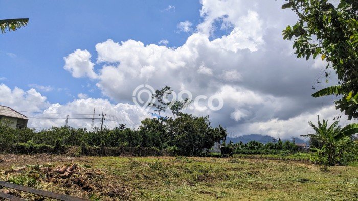 Lahan Dijual Lokasi Strategis di Malang dengan Luas 120m2 Lahan Dijual Lokasi Strategis di Malang dengan Luas 120m2