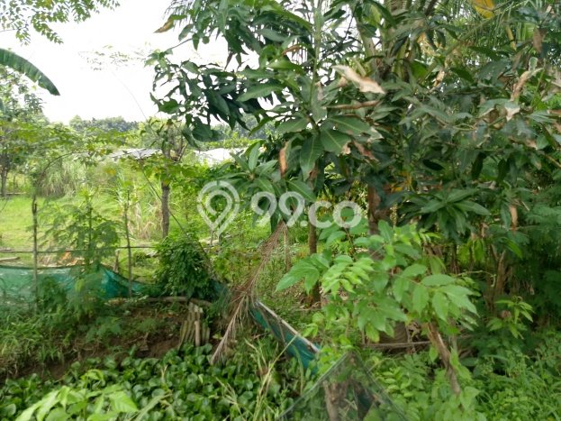 Lahan Strategis di Cipondoh Dijual dengan Luas 5973m2 Lahan Strategis di Cipondoh Dijual dengan Luas 5973m2