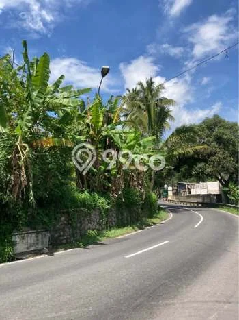 Kavling Tanah Dijual di Bandungan Semarang Spesifikasi 540m2 Kavling Tanah Dijual di Bandungan Semarang Spesifikasi 540m2