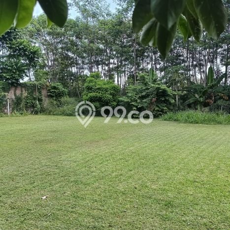 Kavling Tanah di Tembalang Dijual Luas 1380m2 Legalitas - Kavling Tanah di Tembalang Dijual Luas 1380m2 Legalitas -