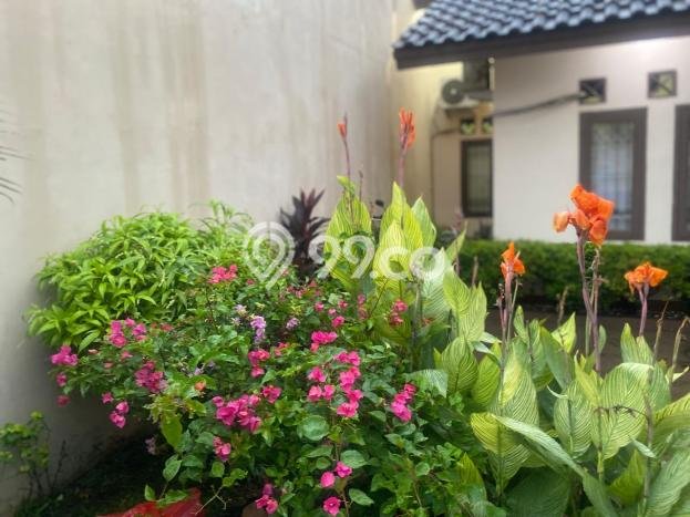 Rumah Mewah LB 80m2 Siap Huni Desain Elegan di Serua, Tangerang Rumah Mewah LB 80m2 Siap Huni Desain Elegan di Serua, Tangerang