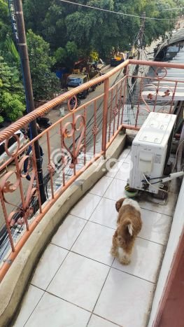 Hunian Nyaman Asri 2 KT Siap Pakai di Teluk Gong Jakarta Utara Hunian Nyaman Asri 2 KT Siap Pakai di Teluk Gong Jakarta Utara