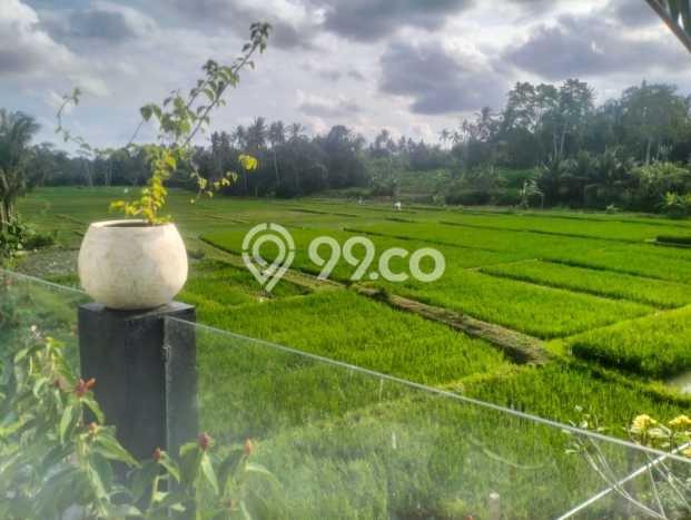 Siap Vila di Mengwi, Ukuran 100m2m², Lingkungan Asri Siap Vila di Mengwi, Ukuran 100m2m², Lingkungan Asri