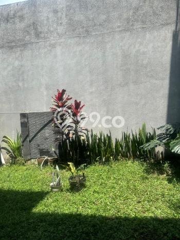 Disewakan! Rumah 4 Kamar Tidur &
2 Kamar Mandi di Singgasana, Bandung Disewakan! Rumah 4 Kamar Tidur &
2 Kamar Mandi di Singgasana, Bandung
