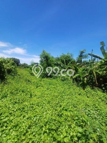 Untuk Dijual Tanah 213m2 di Cemagi, Badung Untuk Dijual Tanah 213m2 di Cemagi, Badung
