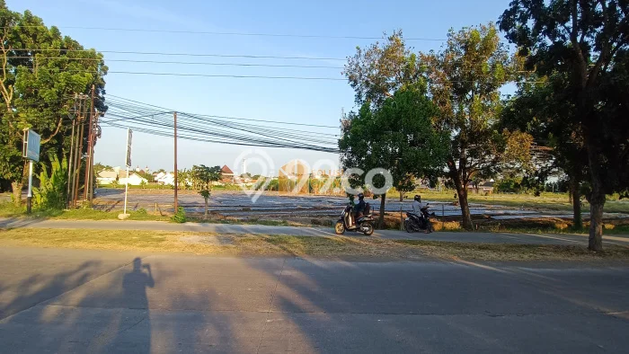 Lahan Strategis di Indramayu Dijual dengan Luas 15000m2 Lahan Strategis di Indramayu Dijual dengan Luas 15000m2