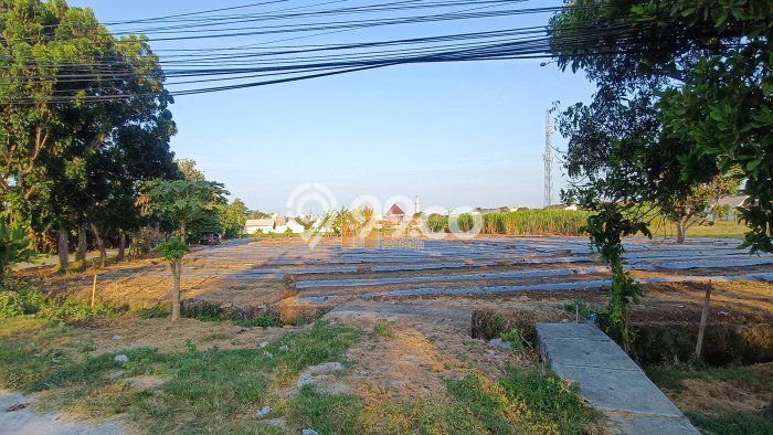 Lahan Strategis di Indramayu Dijual dengan Luas 15000m2 Lahan Strategis di Indramayu Dijual dengan Luas 15000m2