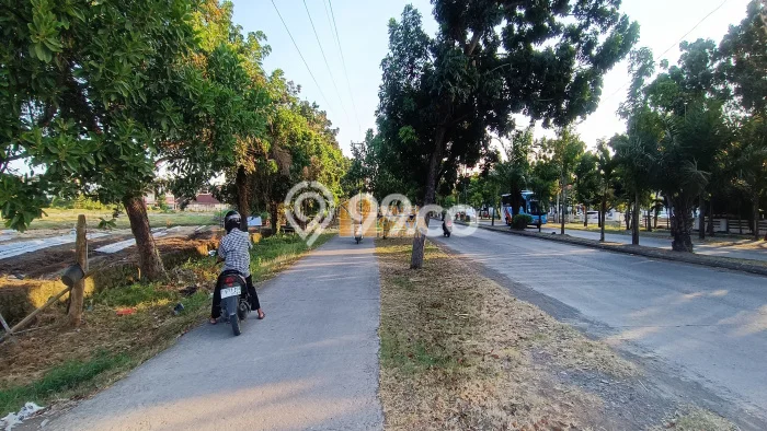 Lahan Strategis di Indramayu Dijual dengan Luas 15000m2 Lahan Strategis di Indramayu Dijual dengan Luas 15000m2