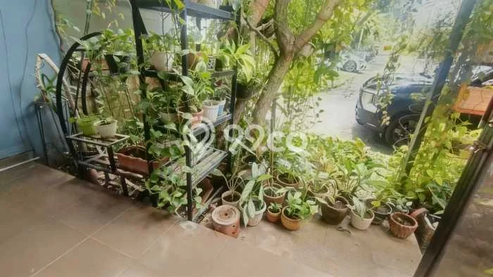 Rumah sewa siap pakai 4 KT di Pejaten, Jakarta Selatan Rumah sewa siap pakai 4 KT di Pejaten, Jakarta Selatan