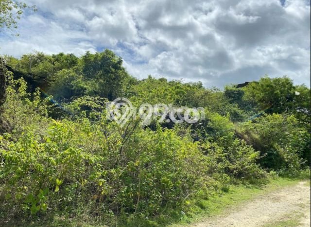 Kavling Tanah untuk Dijual di Jimbaran, Badung, Luas 200m2 Kavling Tanah untuk Dijual di Jimbaran, Badung, Luas 200m2