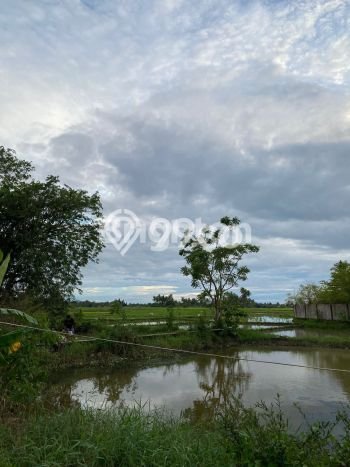 Tanah Dijual di Padang Seluas 23000m2 Strategis Tanah Dijual di Padang Seluas 23000m2 Strategis