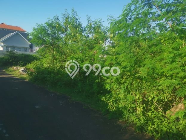 Dijual Tanah di Badung, Luas 208m2 SHM Dijual Tanah di Badung, Luas 208m2 SHM
