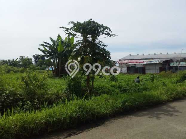 Jarang Ada! Tanah di Margaasih Punya Luas 2000m2 SHM Jarang Ada! Tanah di Margaasih Punya Luas 2000m2 SHM