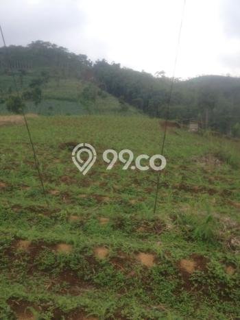 Untuk Dijual Tanah di Soreang Bandung Luas 23839m2 SHM Untuk Dijual Tanah di Soreang Bandung Luas 23839m2 SHM