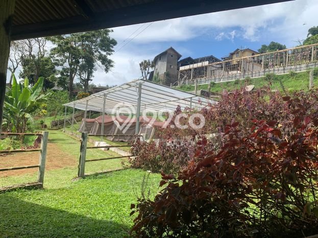 Vila Potensial di Cisarua, Dimensi 11883m2m², Area Nyaman untuk Anda Vila Potensial di Cisarua, Dimensi 11883m2m², Area Nyaman untuk Anda