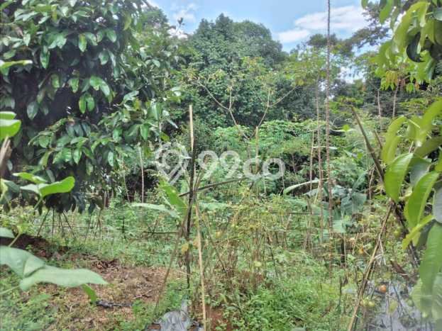 Tanah di Leuwiliang, Bogor Luas 8724m2 Dijual Segera Tanah di Leuwiliang, Bogor Luas 8724m2 Dijual Segera