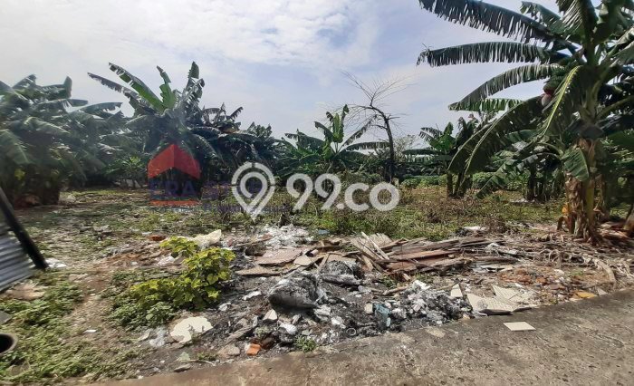 Tanah Siap Bangun Dijual di Jakarta Timur Punya Luas 3060m2 Tanah Siap Bangun Dijual di Jakarta Timur Punya Luas 3060m2