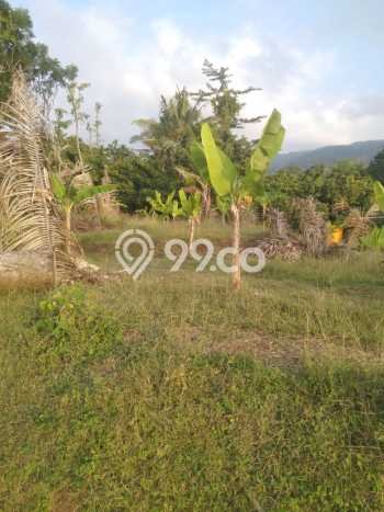 Tanah Lokasi Strategis Kawasan Kayuputih, Luas 3480m², Kawasan Asri, Dekat Kayuputih, Buleleng, Buleleng Tanah Lokasi Strategis Kawasan Kayuputih, Luas 3480m², Kawasan Asri, Dekat Kayuputih, Buleleng, Buleleng