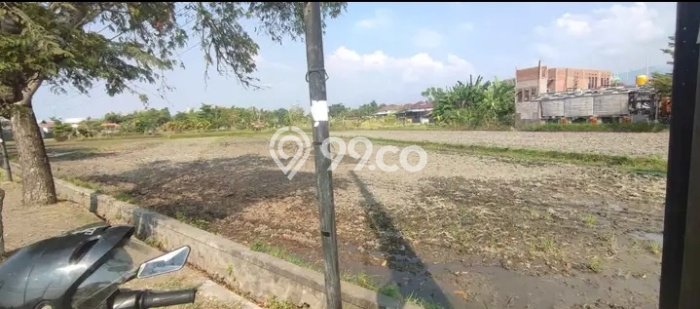 Jual Tanah Lokasi Prima Kawasan Tukadmungga, Luas 5300m², Dekat Tukadmungga, Buleleng, Buleleng Jual Tanah Lokasi Prima Kawasan Tukadmungga, Luas 5300m², Dekat Tukadmungga, Buleleng, Buleleng