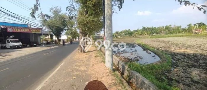 Jual Tanah Lokasi Prima Kawasan Tukadmungga, Luas 5300m², Dekat Tukadmungga, Buleleng, Buleleng Jual Tanah Lokasi Prima Kawasan Tukadmungga, Luas 5300m², Dekat Tukadmungga, Buleleng, Buleleng