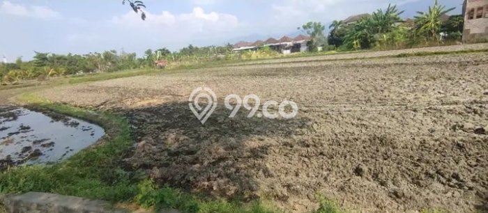 Jual Tanah Lokasi Prima Kawasan Tukadmungga, Luas 5300m², Dekat Tukadmungga, Buleleng, Buleleng Jual Tanah Lokasi Prima Kawasan Tukadmungga, Luas 5300m², Dekat Tukadmungga, Buleleng, Buleleng