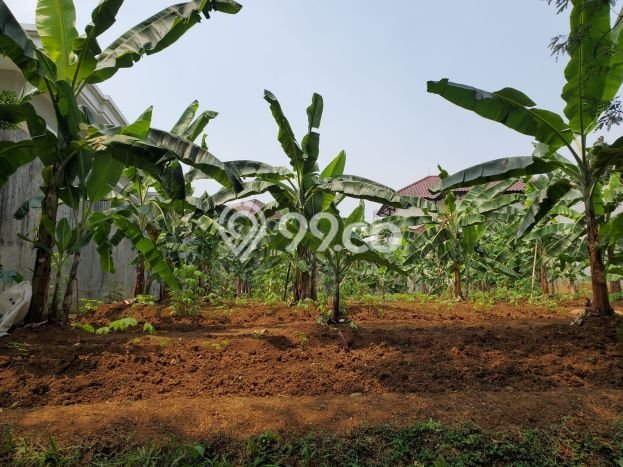 Kavling Tanah untuk Dijual di Baranangsiang, Bogor, Luas 745m2 Kavling Tanah untuk Dijual di Baranangsiang, Bogor, Luas 745m2