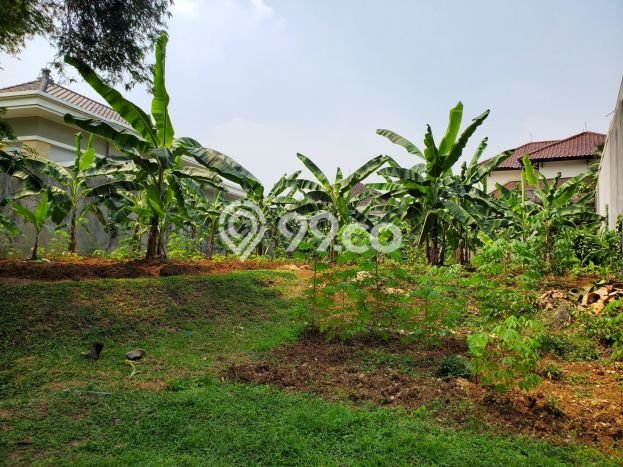 Kavling Tanah untuk Dijual di Baranangsiang, Bogor, Luas 745m2 Kavling Tanah untuk Dijual di Baranangsiang, Bogor, Luas 745m2
