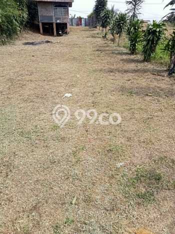 Tanah di Cianjur, Cianjur Luas 20887m2 Dijual Segera Tanah di Cianjur, Cianjur Luas 20887m2 Dijual Segera