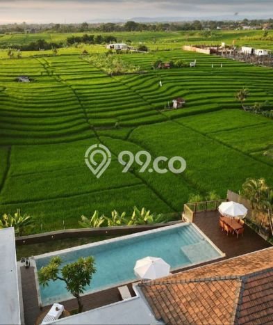 For Sale! Premium House LT 779m2 Desain Elegan di Canggu For Sale! Premium House LT 779m2 Desain Elegan di Canggu