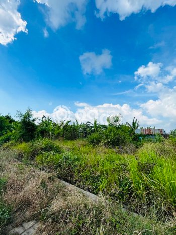 Tanah Kawasan Dalung, Luas 150m², Akses Strategis, Area Prospektif Tanah Kawasan Dalung, Luas 150m², Akses Strategis, Area Prospektif