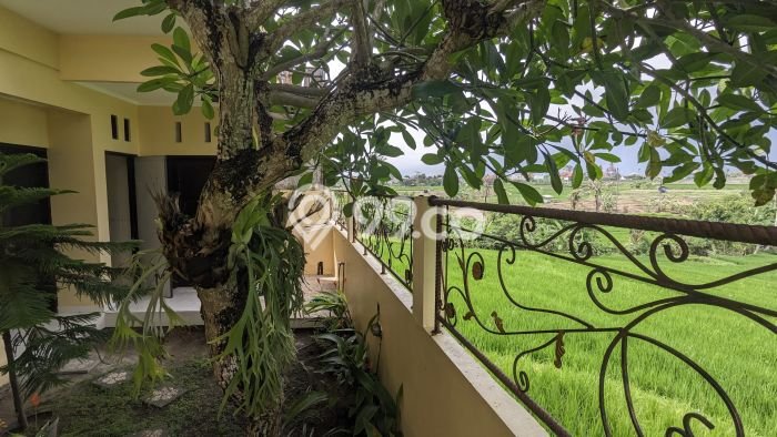 Rumah Modern 5 KT di Dalung Badung Unfurnished Rumah Modern 5 KT di Dalung Badung Unfurnished
