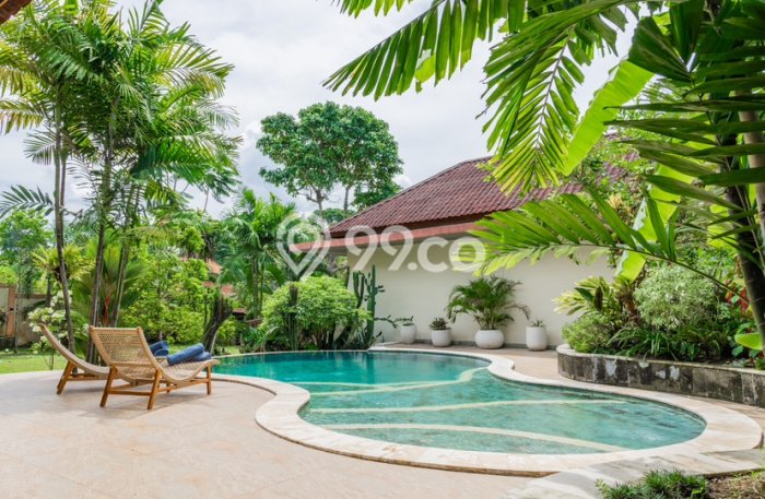 Jual Rumah Luas Elegan Dengan View Cantik di Kaba kaba, Tabanan Jual Rumah Luas Elegan Dengan View Cantik di Kaba kaba, Tabanan