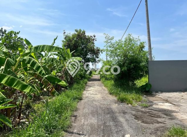 Tanah Kavling Dijual di Badung dengan Spesifikasi 1085m2 Tanah Kavling Dijual di Badung dengan Spesifikasi 1085m2