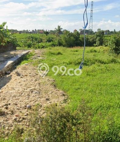 Tanah di Kapal, Luas 200m², Dekat Kapal, Badung, Badung Tanah di Kapal, Luas 200m², Dekat Kapal, Badung, Badung