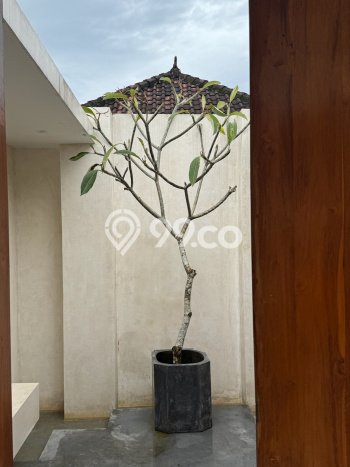 Hunian Berkualitas! Vila di , Ukuran 200m2m², Area Nyaman dan tenang Hunian Berkualitas! Vila di , Ukuran 200m2m², Area Nyaman dan tenang