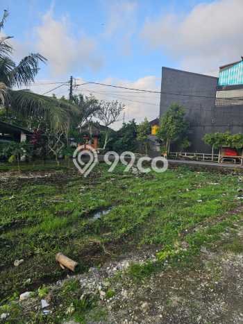 Tanah Kavling Dijual di canggu, Badung dengan Luas Tanah 100m2 Tanah Kavling Dijual di canggu, Badung dengan Luas Tanah 100m2