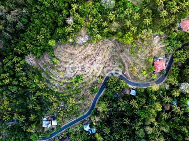 Tanah Dijual Lokasi Buleleng, Buleleng Luas 10000m2 Legalitas Aman Tanah Dijual Lokasi Buleleng, Buleleng Luas 10000m2 Legalitas Aman