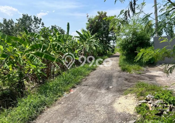 Tanah Kavling Dijual di Badung dengan Spesifikasi 1085m2 Tanah Kavling Dijual di Badung dengan Spesifikasi 1085m2