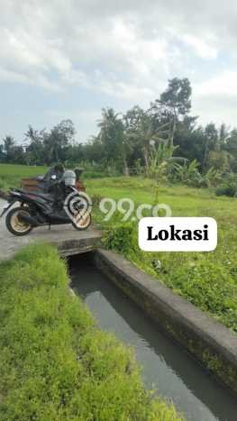 Tanah Kavling Dijual di Munggu, Badung dengan Luas Tanah 350m2 Tanah Kavling Dijual di Munggu, Badung dengan Luas Tanah 350m2