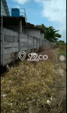 Tanah Dijual Lokasi Widang, Tuban Luas 40000m2 Legalitas Aman Tanah Dijual Lokasi Widang, Tuban Luas 40000m2 Legalitas Aman